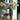 gold and black vase