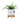 5/8" White Funky Ceramic Planter On Wooden Stand 