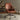 Front View of the Brown Leather Office Chair in a Comfy indoor Setting Highlighting its Contoured Seating and Backrest
