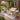 charmydecor 4-piece outdoor sofa set with acacia wood frame beige rope panels cream cushions and coffee table on brick patio