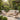 CharmyDecor 4 piece patio conversation set with acacia wood, woven rope chairs, loveseat, beige cushions and slatted coffee table in garden