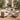 Charmydecor 4 piece patio conversation set arranged in a sunny courtyard with olive trees