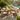 charmydecor 7 piece acacia wood outdoor dining set with cream cushions beside backyard pool