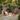 Charmydecor brown wooden folding Adirondack chair set of 2 on a garden stone patio