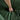 Hand holding a green fabric with folds