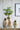 Gold vases with greenery on a marble surface against a white paneled wall.