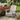 Charmydecor gray oversized folding Adirondack chair displayed on a garden patio among blooming roses