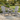 charmydecor gray solid wood Adirondack chair set of 2 in landscaped garden patio setting