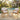 charmydecor Grotta outdoor dining arm chairs set of 2 with acacia wood frames beige rope backs and cream cushions by poolside patio