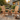 Charmydecor light brown solid wood Adirondack chair set of 2 styled in a garden patio seating area
