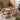 charmydecor light teak acacia wood rope dining chairs with beige cushions around outdoor patio table