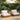 Charmydecor oversized outdoor 3-piece chat set with two acacia wood club chairs, beige cushions, and side table in a garden patio setting