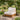 charmydecor_oversized_outdoor_club_chair_with_natural_acacia_wood_frame_and_beige_cushions_in_garden_patio_setting