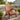 charmydecor oversized wooden folding Adirondack chair in coffee finish on a sunny front porch