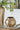 Gold vase on a glass table with greenery