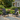 Charmydecor set of 2 black solid wood Adirondack chairs on a garden patio beside a cottage home