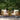 charmydecor set of 2 outdoor acacia wood club chairs with beige cushions on patio rug