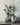 Two silver vases with flowers on a neutral background