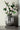 Decorative vase with pink flowers on a neutral background