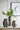 Three decorative vases with plants on a table against a white paneled wall with a framed picture.
