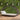 Wicker outdoor swing bed with white cushion against a green wall