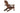 Charmydecor wooden folding Adirondack chair with slatted backrest rear angle view
