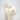 Close-up of cat face on cream ivory ceramic vase