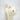 Close-up of cat face on cream ivory ceramic vase