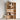 Japanese Industrial Rectangular Solid Wood Bookshelf
