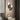 Double Head Water Pipe Wall Light