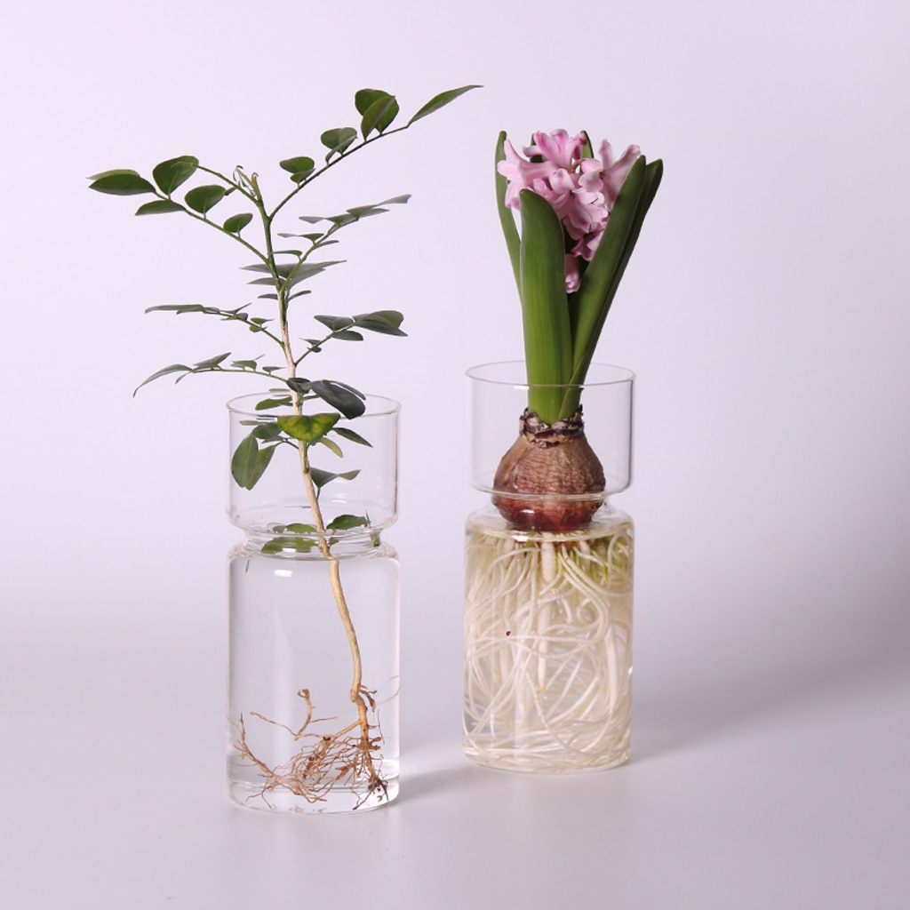 clear glass planter pot Transparent Glass Vase for Flowers & Plants – CharmyDecor