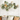 Modern Abstract Lotus Leaf Wall Accent