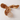 Resin Eagle Glass LED Wall Sconce