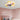 Creative Aircraft Shaped Ceiling Fan Light