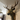 Faux Deer Head Animal sculpture Wall Decor