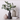 Modern Minimalism Decor Ceramic Flower Vase