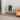 black plant pot