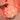 Romantic Rose Decorative String Light