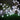 Festive Pompom  LED String Light