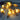Conch Decorative String Light
