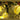 Nordic Lemon Slice USB Plastic String Light
