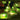 Nordic Lemon Slice String Light