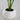 Resin Flower Shape LED Table Lamp