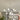 White Globe Glass Chandelier Lamp