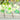 Plastic Elephant LED Festoon String Light