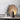 Asian Style Round Resin Table Lamp