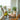 Solid Wood Folding Dining Chair Outdoor