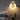 Post Modern LED Round Wall Sconce