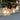 Courtyard LED Fairy String Light