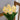 Resin Flower Shape LED Table Lamp